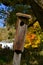 Weathered birdhouse in the autumn