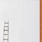 Weathered brick wall with a wooden ladder