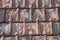 Weathered Ceramic Rooftile Mouldy and Mossy