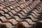 Weathered Ceramic Rooftile Mouldy and Mossy