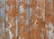 Weathered color wooden fence texture.