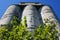 Weathered concrete silos with trees