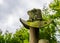 Weathered cowboy hat on a wooden pole, Garden decoration in western style