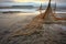 weathered fishing nets on sandy beach at low tide