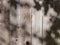 A weathered garden cedar fence background