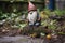 weathered garden gnome missing its head
