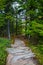 Weathered Granite and Scenic View, Beech Mountain Trail in Acadia National Park, Mount Desert Island, Maine