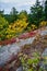 Weathered Granite and Scenic View, Beech Mountain Trail in Acadia National Park, Mount Desert Island, Maine