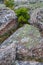 Weathered Granite and Scenic View, Beech Mountain Trail in Acadia National Park, Mount Desert Island, Maine