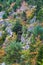 Weathered Granite and Scenic View, Beech Mountain Trail in Acadia National Park, Mount Desert Island, Maine