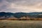 Weathered grass on the meadow in mountains