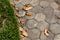 Weathered gray hexagonal pavers, leaf litter and liriope, in need of cleaning