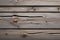 Weathered gray wood with nail holes and scratches