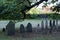 Weathered headstones tucked under shady trees, The Burying Point, Salem, Massachusetts, 2018