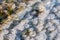 Weathered ice and frozen snow in the form of needle crystals on the bank of the Tiligul Estuary on a sunny day