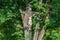 Weathered iron cross with Jesus statue