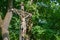 Weathered iron cross with Jesus statue