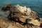 Weathered limestone on the Mediterranean coast