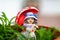 Weathered miniature garden figure of young girl with red umbrella in plant pot