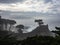 Weathered Monterey Cypress trees at the coast