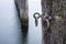 Weathered mooring poles of wood in the sea, detail with metal eyelets, long exposure