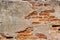 Weathered old ruin concrete wall reveal brick cracked inside grunge aged building texture for background