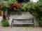 Weathered park bench stands in front of a stone wall with climbing red roses