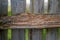 Weathered piece of wood on the wooden fences