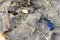 Weathered plastic cigarette lighter in the sand near the beach