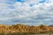 Weathered rocks in the badlands Bardenas Reales