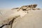 Weathered rocks in desert