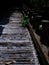 Weathered, rotting bamboo pathway bridge in Asian countryside.