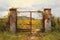 weathered, rusted farm gate with peeling paint