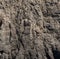 Weathered seaside rock face texture. Aged volcanic stone wall surface background pattern with cracks and scratches.