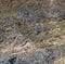 Weathered seaside rock face texture. Aged volcanic stone wall surface background pattern with cracks and scratches.