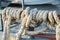 Weathered ship ropes