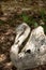 Weathered Swan Garden Ornament