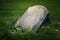 A weathered tombstone with unreadable writings, fallen into the grass, symbolising time\\\'s passage and forgotten histories.