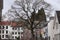 Weathered tree in a courtyard with a LGBT pride flag on the building