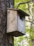 Weathered and used birds nest mounted on a tree