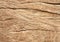 Weathered wood grain texture background.