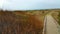 Weathered wood wild ocean curved walking path bridge.