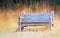 Weathered wooden bench in golden prairie grass