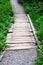 Weathered wooden footbridge over lush marsh area of Paradise area of Mt. Rainier National Park, WA