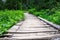 Weathered wooden footbridge over lush marsh area of Paradise area of Mt. Rainier National Park, WA