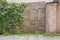 Weathered wooden plank gates covered in creeper.