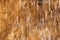 Weathered wooden texture for interior or exterior design solutions