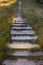 Weathered wooden walkpath with grass in forest. Empty wooden road in perspective. Rural old pathway. Direction and travel concept