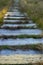 Weathered wooden walkpath with grass in forest. Empty wooden road in perspective. Rural old pathway. Direction and travel concept