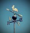 Weathervane also called weathercock with vintage effect